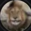 fortnitenewsok