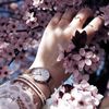samia_3331