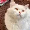 m__916