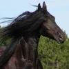 giannisgrts