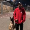 drivedog3