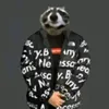 memes_in2