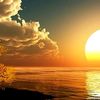 m.mohammed.sh