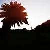mi_na0821