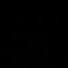 vvesx