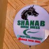 shanab_horse_dress