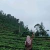 _septynida10