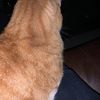 feetvid33