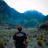 storynewongsehat