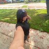 nick_niiicole