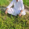 mushtaq.khokhar43