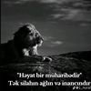 eminhuseynzade52
