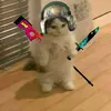 dommik_k