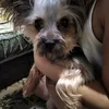 alexandr_249