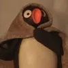 s4m_gyup