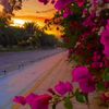 abuhaitham251