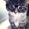 athalia.sa