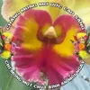 haiminh9055