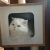 heart.1oheart