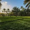 aqeeljalahawi