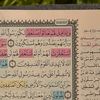 aylsgl845