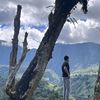 irwansyah_arif10