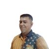 elvissatria
