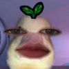 jjklmn0p