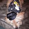 duffiegurl