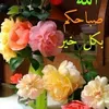raeidtfy