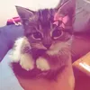help_me_blya