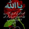 ch_qamar_qamri