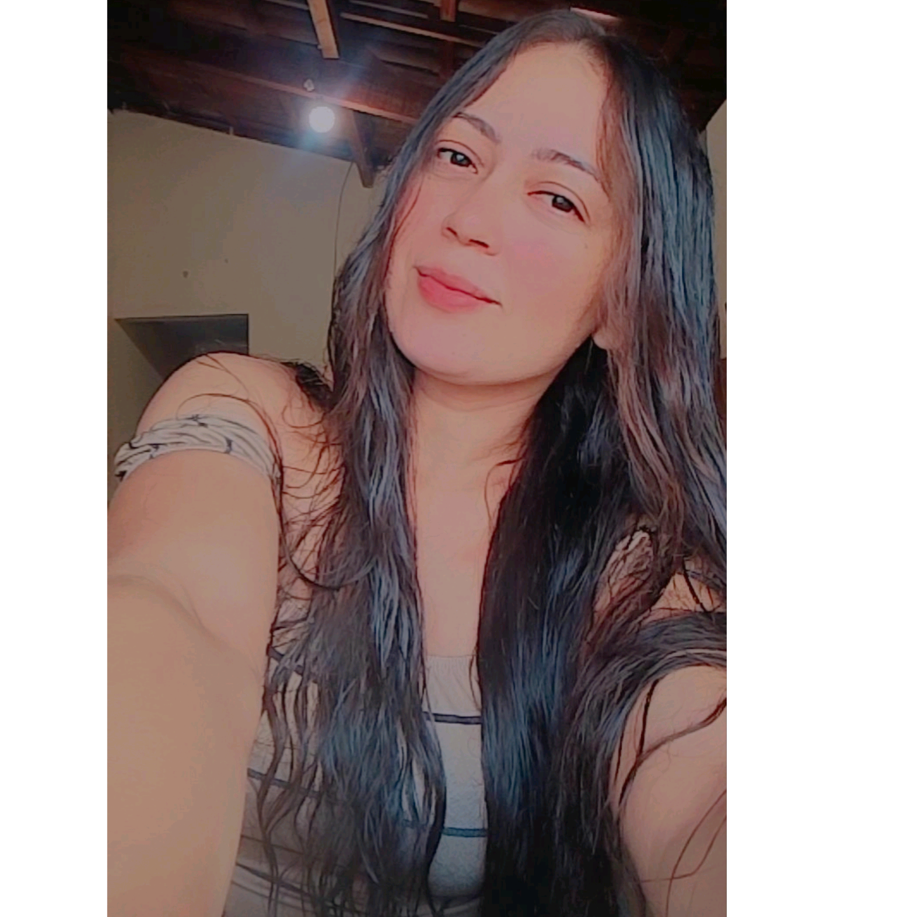 evilenepinheiro2