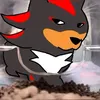 donbartoxd