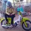 hendrynasgor
