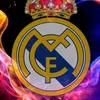 silf_er7