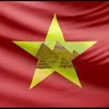 nguyendinhhieu73