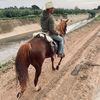 carlitos_178