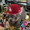 alph_44