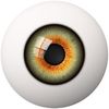 el.ojo.que.lo.ve.todo