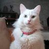 louliita02