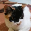 mycatcute5