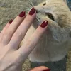 ppprrrqe
