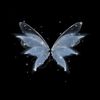 butterfly7_q