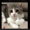 user4cklt2vdi7