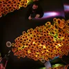 rosespower1