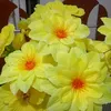 lilianesilva75183
