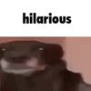 idklmao138