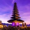 kutukankuning