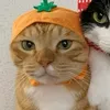 _linvg
